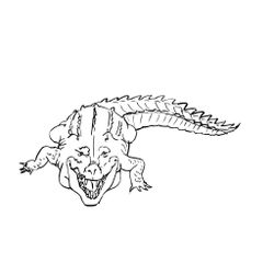 Cocodrilo #2855