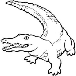 Cocodrilo #2876