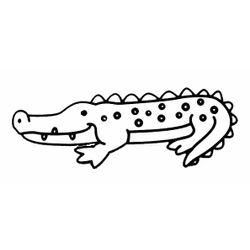 Cocodrilo #2886