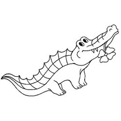 Cocodrilo #2903