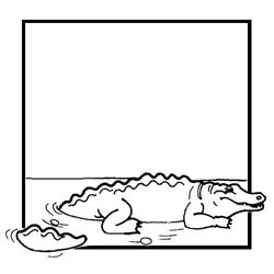 Cocodrilo #2935