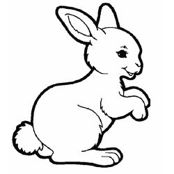 Conejo #3008