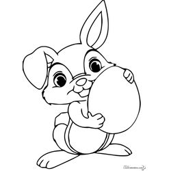 Conejo #3019