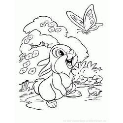 Conejo #3035