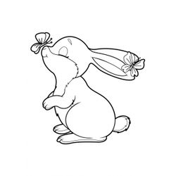 Conejo #3039