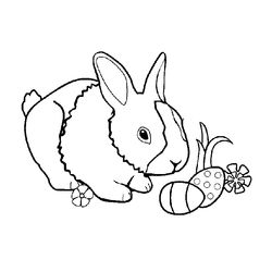 Conejo #3040