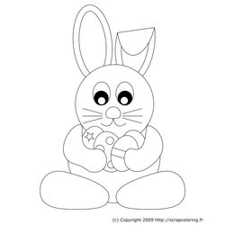 Conejo #3060