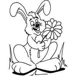 Conejo #3069