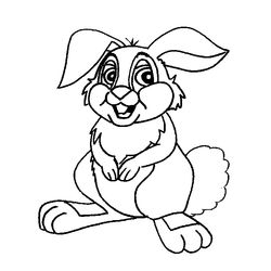 Conejo #3087