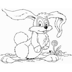 Conejo #3126