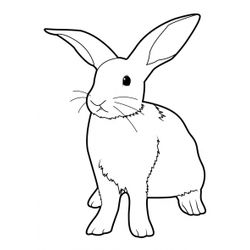 Conejo #3128