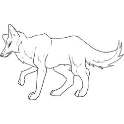 Coyote #3198