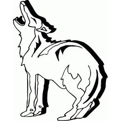 Coyote #3199