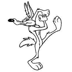Coyote #3202