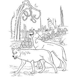 Coyote #3208