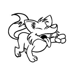 Coyote #3209