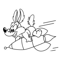 Coyote #3213