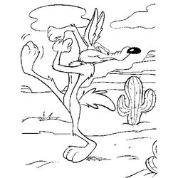 Coyote #3219