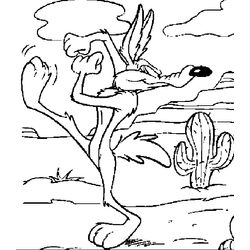 Coyote #3221