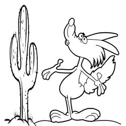 Coyote #3225