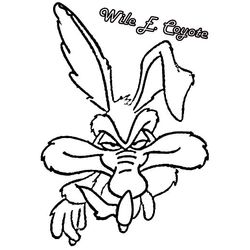 Coyote #3229