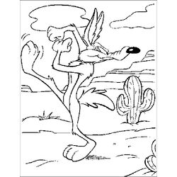 Coyote #3232