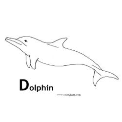 Delfín #3292