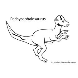 Dinosaurio #3430