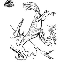 Dinosaurio #3443