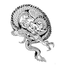 Dragón #3557