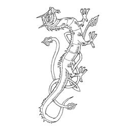 Dragón #3611