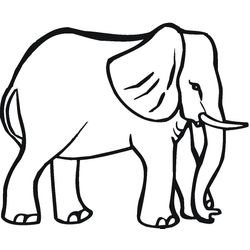 Elefante #3751