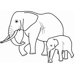 Elefante #3753