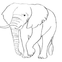 Elefante #3758