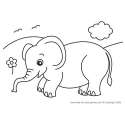 Elefante #3770