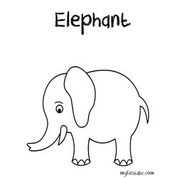 Elefante #3774