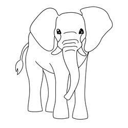 Elefante #3777