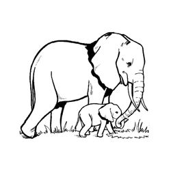 Elefante #3778