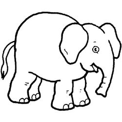 Elefante #3779