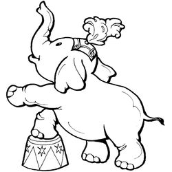 Elefante #3780