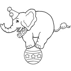 Elefante #3789
