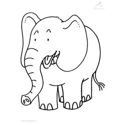 Elefante #3793