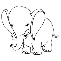 Elefante #3795