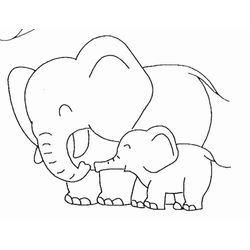 Elefante #3796