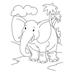 Elefante #3799