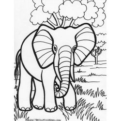 Elefante #3802