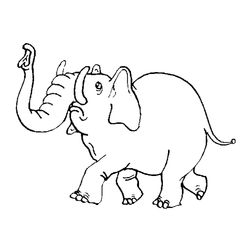 Elefante #3805