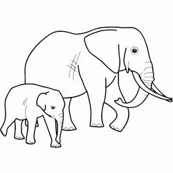 Elefante #3812