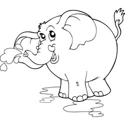 Elefante #3813