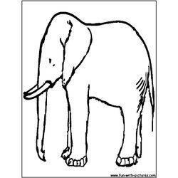 Elefante #3834